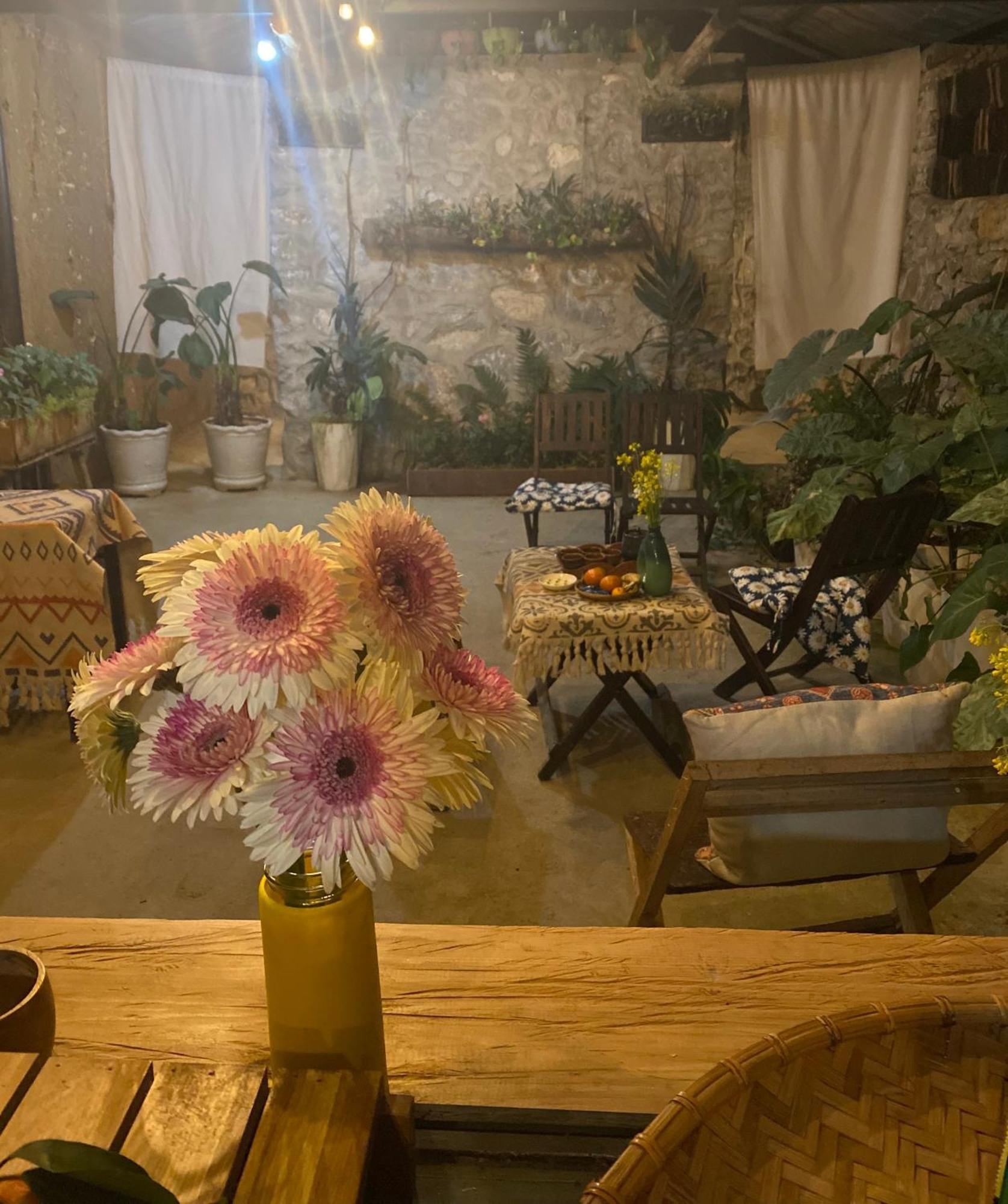 Le Petit Home 동반 외부 사진